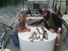 (04/12/2015) - Nice Striped Bass